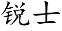 銳士 (楷體矢量字庫)