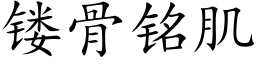 镂骨銘肌 (楷體矢量字庫)