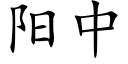 陽中 (楷體矢量字庫)