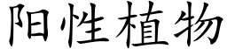 陽性植物 (楷體矢量字庫)