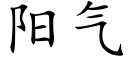 阳气 (楷体矢量字库)