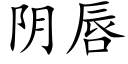 陰唇 (楷體矢量字庫)