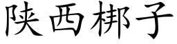 陝西梆子 (楷體矢量字庫)