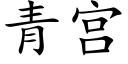 青宮 (楷體矢量字庫)