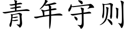 青年守则 (楷体矢量字库)