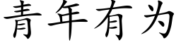 青年有为 (楷体矢量字库)