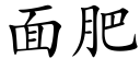 面肥 (楷體矢量字庫)