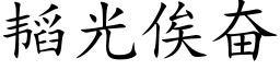 韬光俟奮 (楷體矢量字庫)