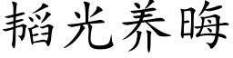 韬光養晦 (楷體矢量字庫)