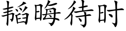 韬晦待时 (楷体矢量字库)