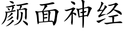 顔面神經 (楷體矢量字庫)