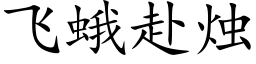 飛蛾赴燭 (楷體矢量字庫)