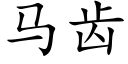 马齿 (楷体矢量字库)