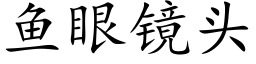 鱼眼镜头 (楷体矢量字库)