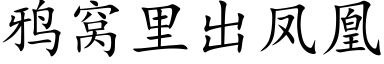 鸦窝里出凤凰 (楷体矢量字库)