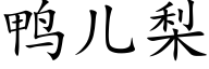 鴨兒梨 (楷體矢量字庫)