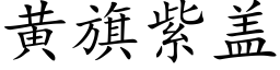 黄旗紫盖 (楷体矢量字库)