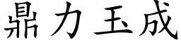 鼎力玉成 (楷体矢量字库)