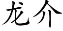 龙介 (楷体矢量字库)