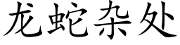 龍蛇雜處 (楷體矢量字庫)