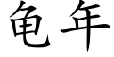 龟年 (楷体矢量字库)